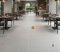 Gạch granite 60x120 kis bề mặt mờ xám nhạt