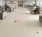 Gạch kis granite 60x120 đá mờ màu vàng kem nhạt