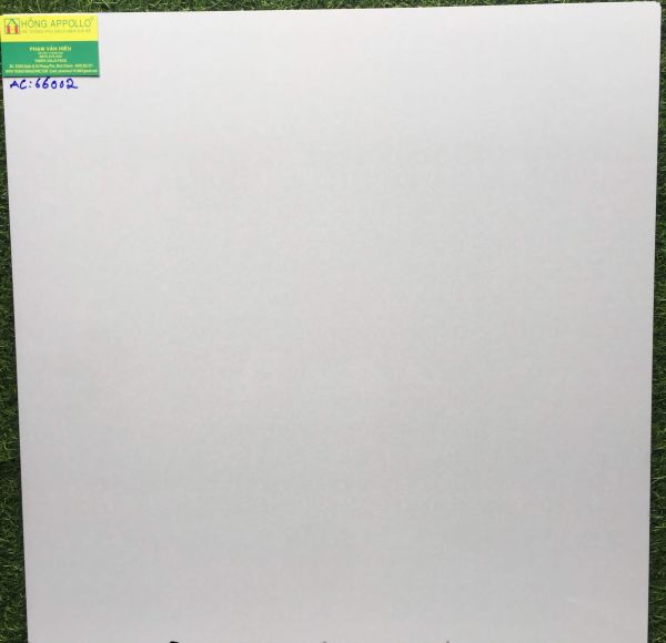 Gạch lát nền 60x60 bóng kiếng vân xà cừ cmc AC66002 2980