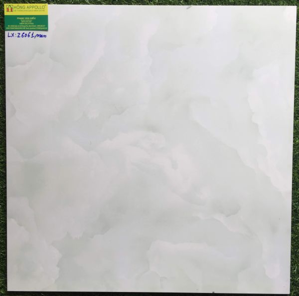 Gạch men prime 60x60 đẹp Z6061LX 2551