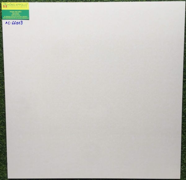 Gạch lát nền 60x60 bóng kiếng vân xà cừ cmc AC66003 2981