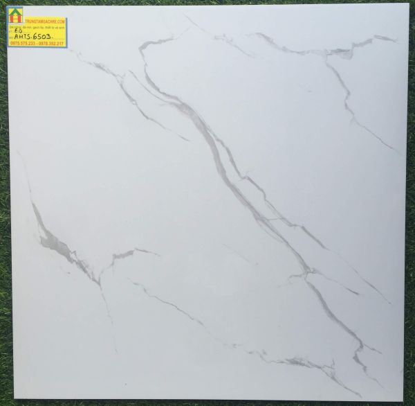 Gạch lát nền 60x60 tasa đá bóng kiếng 6503GH 2468