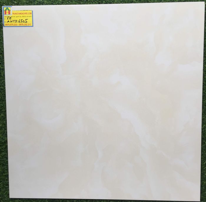 Gạch granite 60x60 tasa bóng kiếng 6505GH 2470