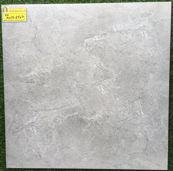 Đá bóng kiếng 60x60 tasa cao cấp 6507GH 2472