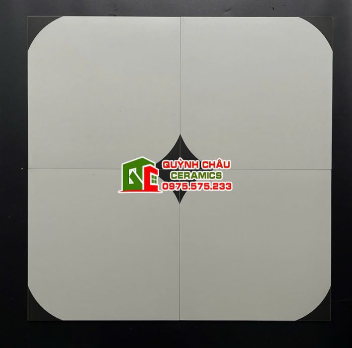 Gạch bông 30x30 trắng đen hoa văn đơn giản