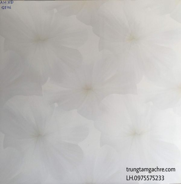 GẠCH 80X80 ĐÁ BÓNG KIẾNG TOÀN PHẦN GIÁ RẺ 1290