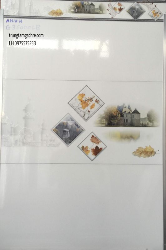 GẠCH ỐP TƯỜNG 30X60 HÀNG BỘ GIÁ RẺ 1234