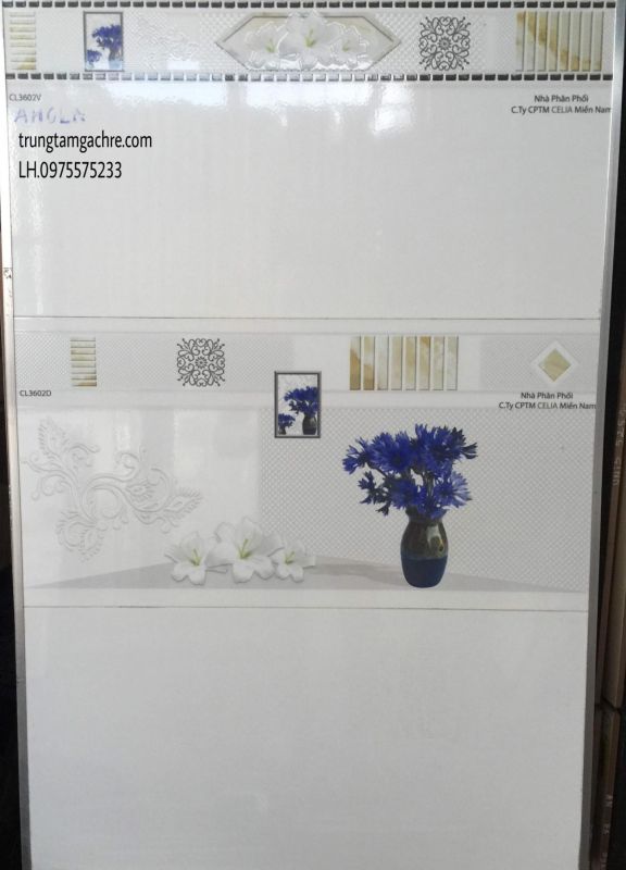 GẠCH ỐP TƯỜNG 30X60 HÀNG BỘ GIÁ RẺ 1238