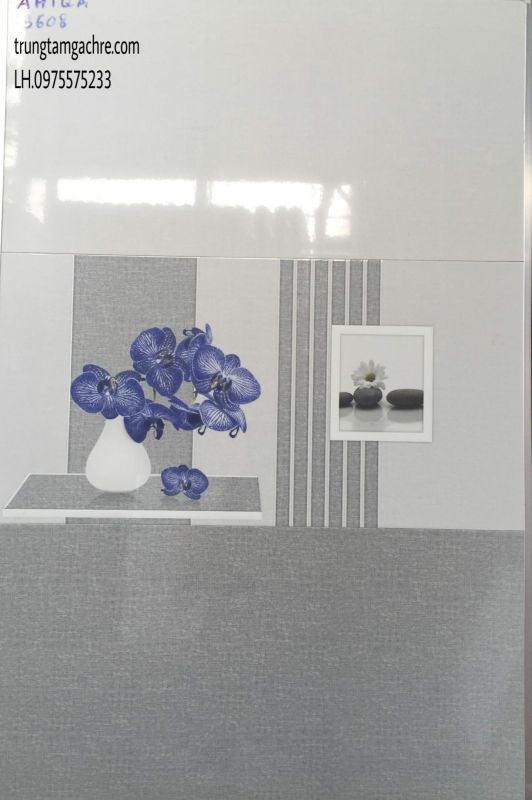 GẠCH ỐP TƯỜNG 30X60 HÀNG BỘ GIÁ RẺ 1174