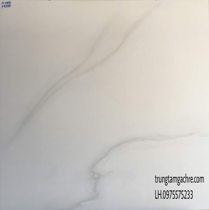 GẠCH 80X80 ĐÁ BÓNG KIẾNG TOÀN PHẦN GIÁ RẺ 1319