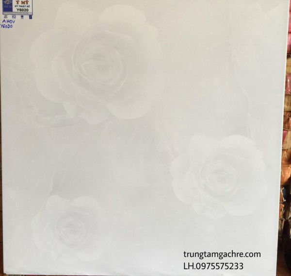 ĐÁ BÓNG KIẾNG Ý MỸ 60X60 CAO CẤP GIÁ RẺ 1145