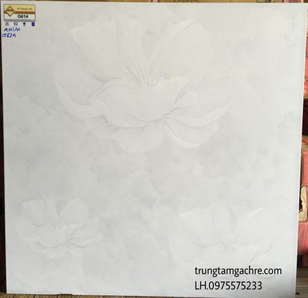 ĐÁ BÓNG KIẾNG Ý MỸ 60X60 CAO CẤP GIÁ RẺ 1143