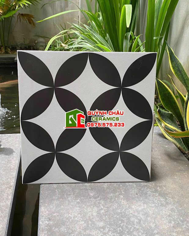 Gạch bông 30x30 hoạ tiết đồng tiền