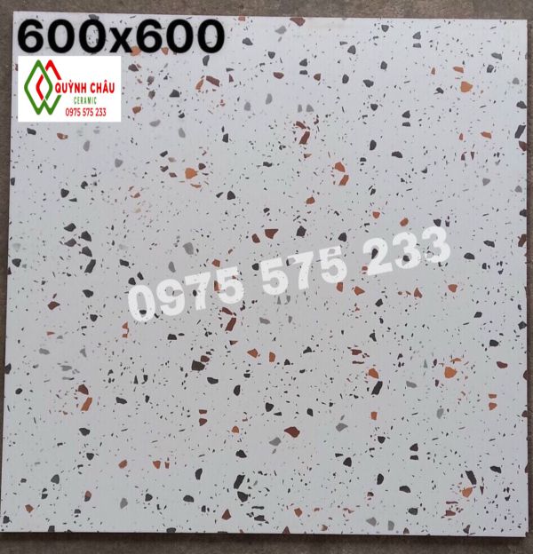 Gạch trung quốc vân đá terrazzo 60x60 đá mài đẹp 4123