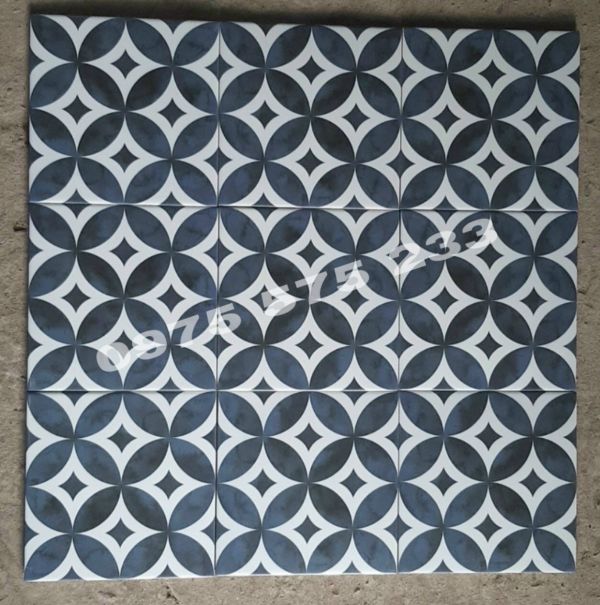 Gạch bông 20x20 đồng tiền giả cổ lát nền