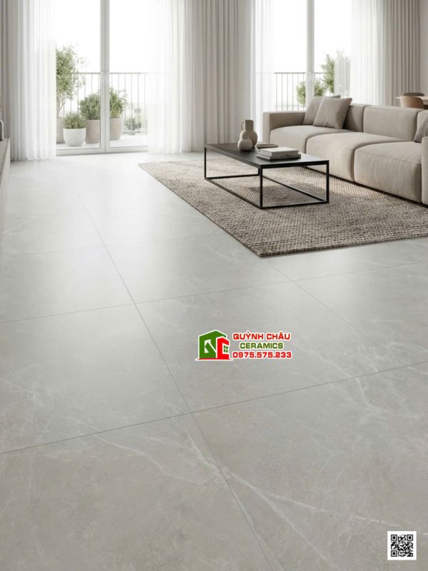 Gạch lát nền ấn độ 100x100 mờ mịn Baby Skin màu xám vân đá