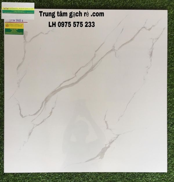 Gạch lát nền giá rẻ 80x80 tasa  8051