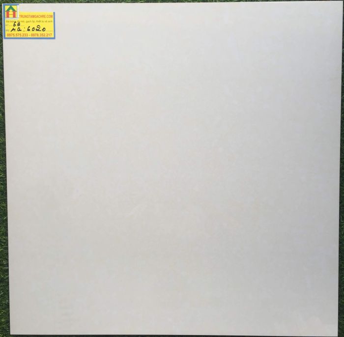 Gạch lát nền 60x60 bóng kiếng MIKADO 6020AQ 2463