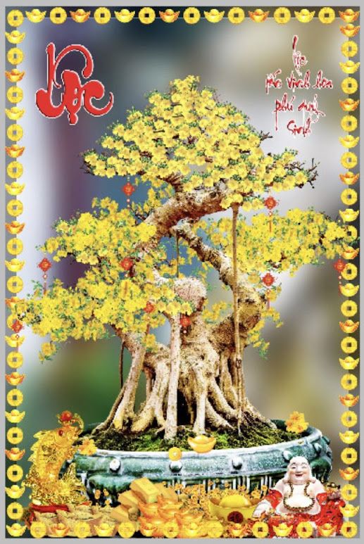 Tranh kính nguyên tấm cây hoa mai