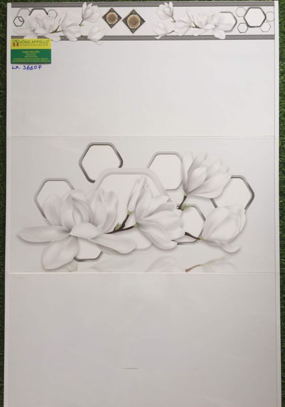 Mẫu gạch 30x60 ốp tường vicenza đẹp LX36607 2810