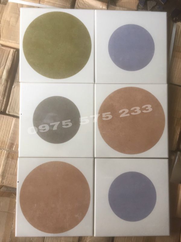 Gạch bông ốp lát 200x200 trang trí đẹp