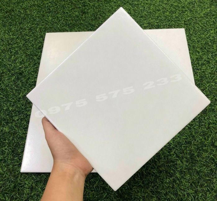 Gạch bông trắng mờ 20x20 hình vuông ốp lát