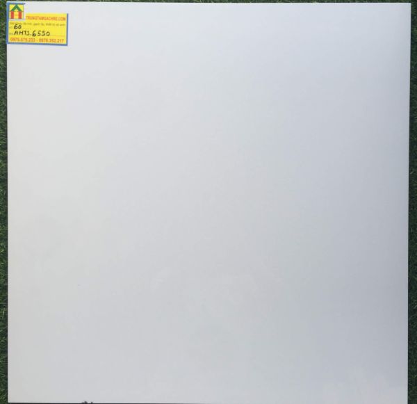 Gạch bóng kiếng toàn phần 60x60 tasa 6550GH 2474
