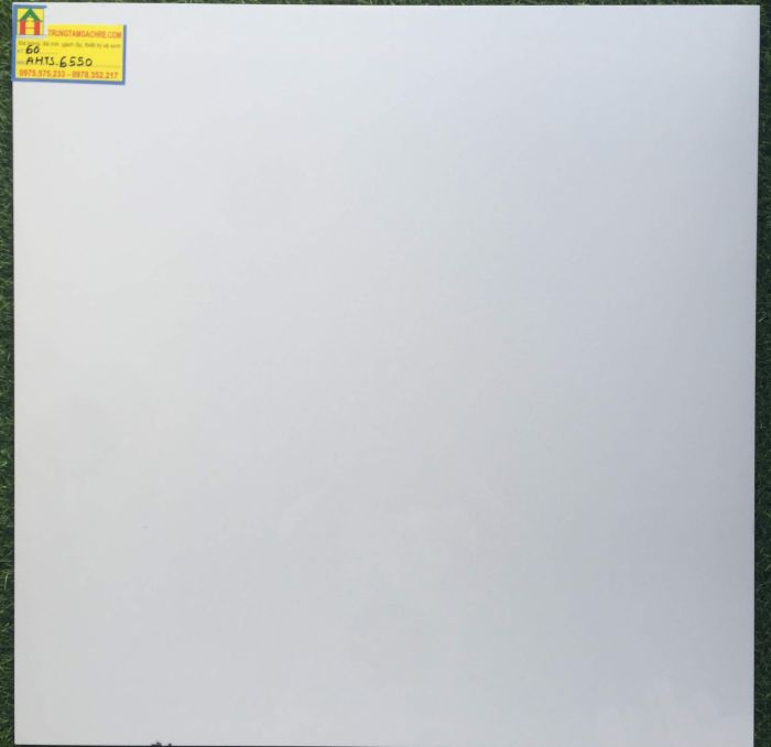 Gạch bóng kiếng toàn phần 60x60 tasa 6550GH 2474