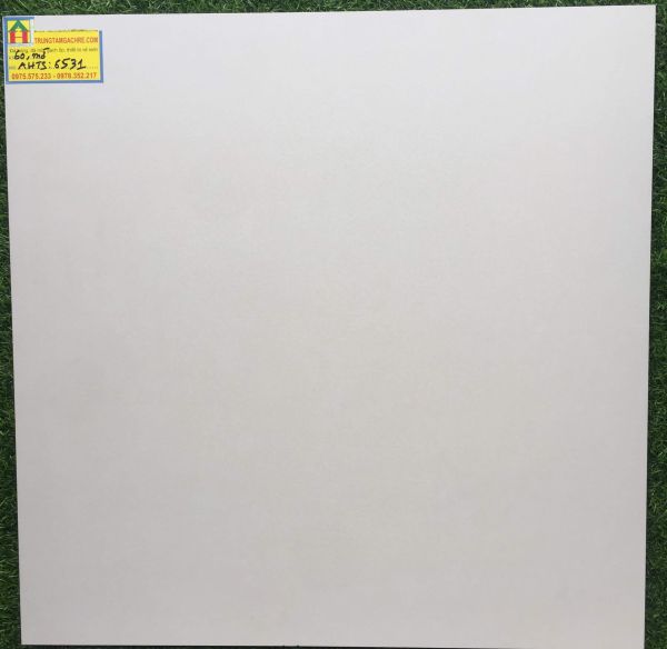 Gạch đá mờ 60x60 tasa cao cấp 6531GH 2477