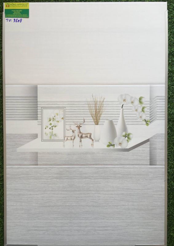 Gạch ốp tường 30x60 bình chánh 2618