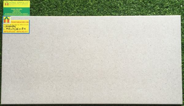 Đá cao cấp 30x60 bạch mã MBH36024