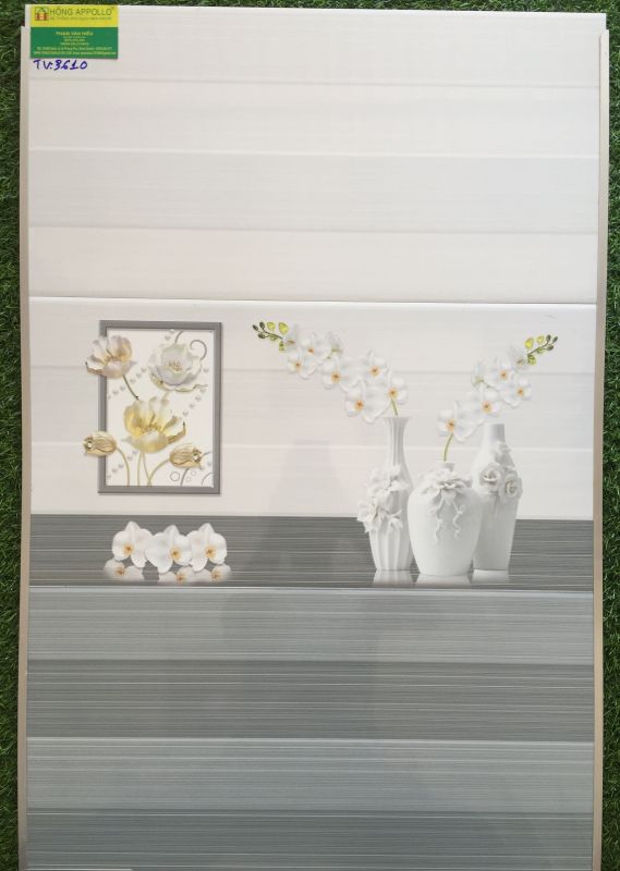 Gạch ốp dán tường 30x60 bình chánh 2619