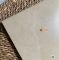 Gạch lát nền Viglacera 80x80 men mờ màu kem vàng nhạt vân ngẫu nhiên