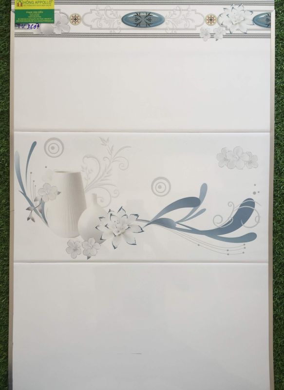 Gạch ốp dán tường 30x60 long an 2620