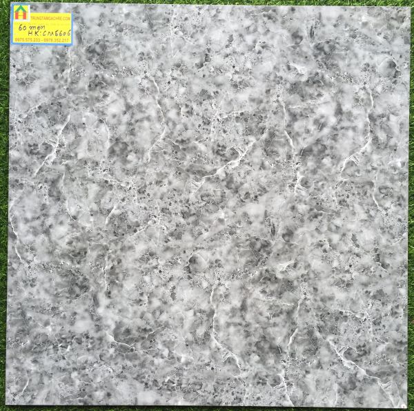 Gạch lát nền ceramic 60x60 MIKADO 6606HK 2420