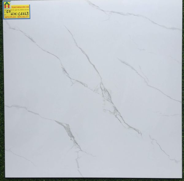 Gạch lát nền MIKADO 60x60 bóng kiếng C6613HK 2422