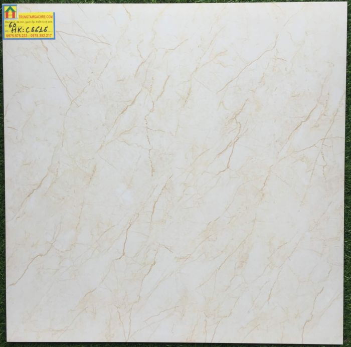 Gạch lát nền MIKADO 60x60 bóng kiếng C6616HK 2423