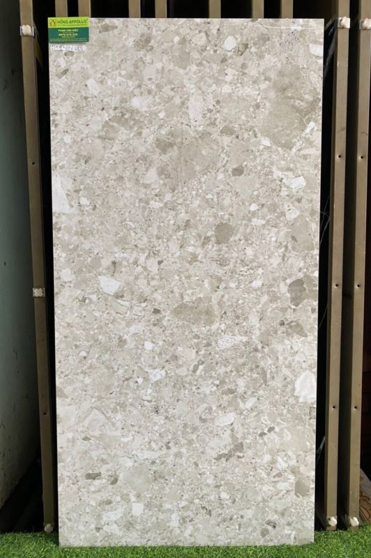 Gạch ấn độ 60x120 vân đá terrazzo bóng kiếng trang trí với giá tốt