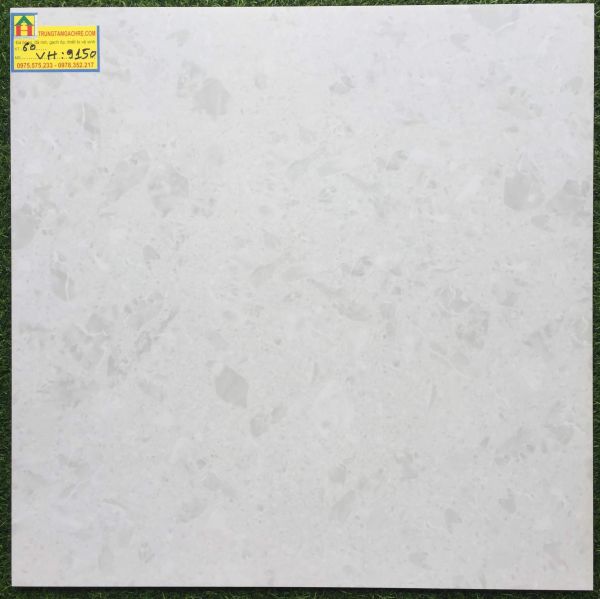 Gạch bóng kiếng prime 60x60 cao cấp 9150VH 2447