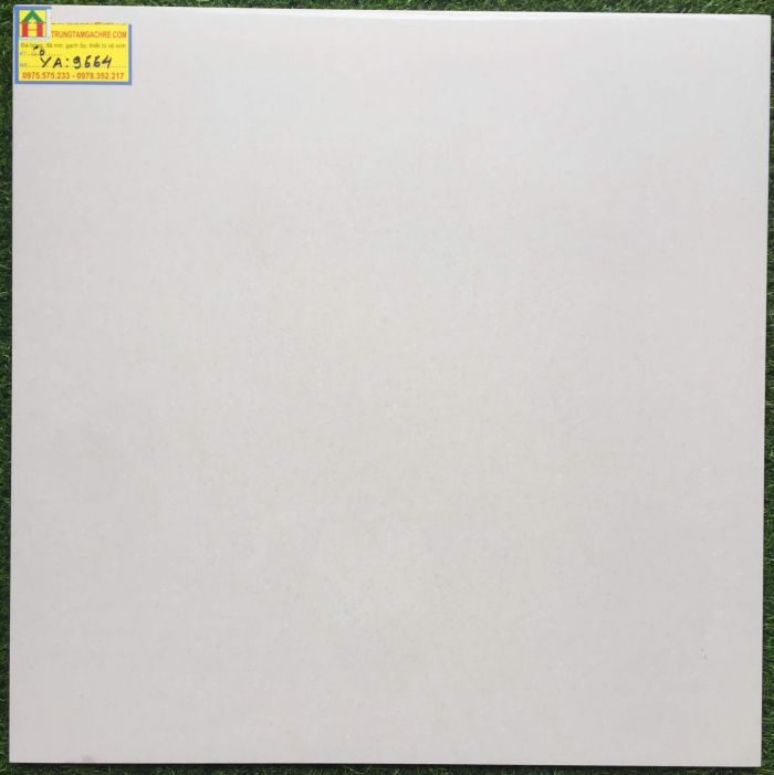 Gạch prime 60x60 bóng kiếng 9664YA 2456
