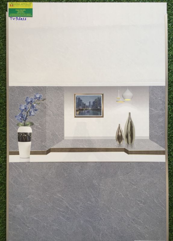 Gạch ốp tường 30x60 TTC 36011TV 2621