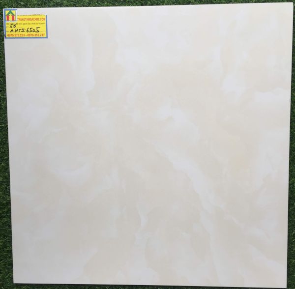 Gạch bóng kiếng  60x60 tasa cao cấp, 6505 2148