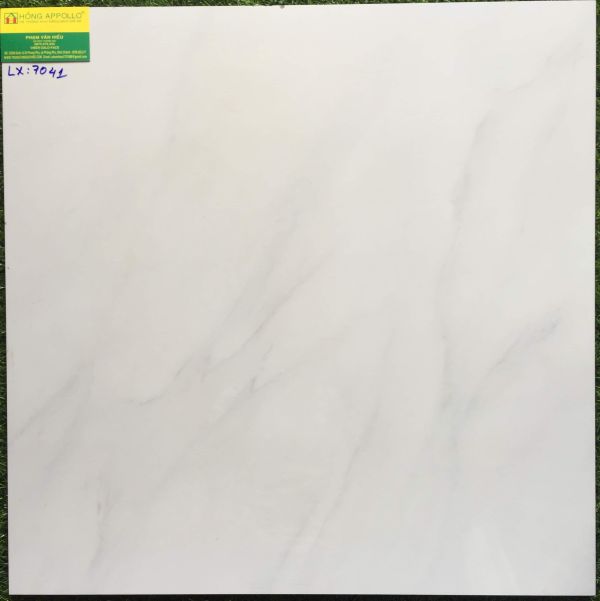 Gạch lát nền hoàn mỹ 60x60 cao cấp 7041LX 2537