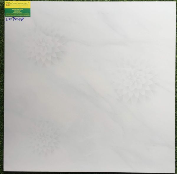 Gạch bóng kiếng toàn phần 60x60 hoàn mỹ 7048LX 2541
