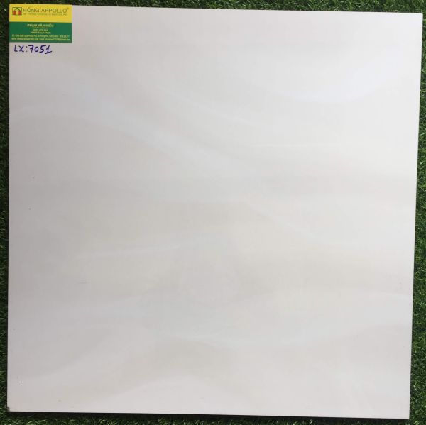 Đá bóng kiếng toàn phần 60x60 cao cấp 7051LX 2543