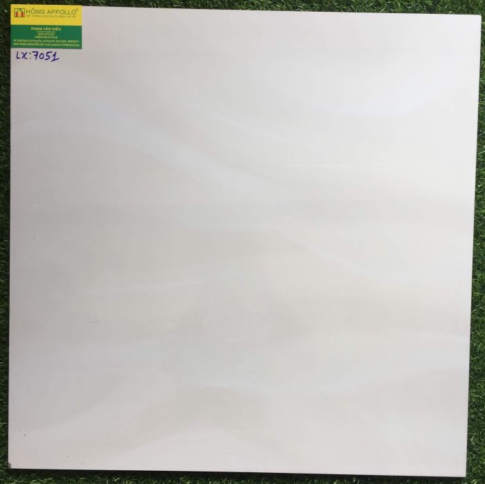 Đá bóng kiếng toàn phần 60x60 cao cấp 7051LX 2543