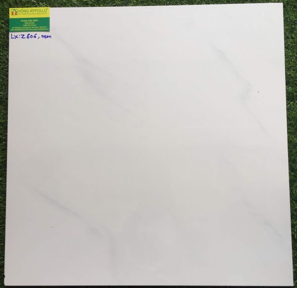 Gạch 60x60 ceramic prime Z606LX 2550