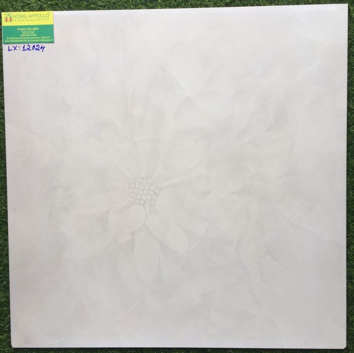 Gạch lát nền 60x60 đá bóng kiếng toàn phần prime 12024LX 2555