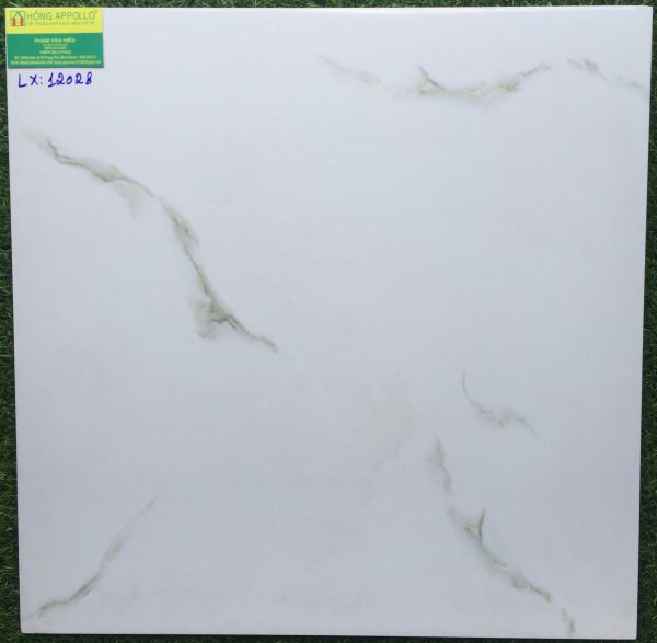 Gạch 60x60 bóng kiếng toàn phần 60x60 prime 12028LX 2560