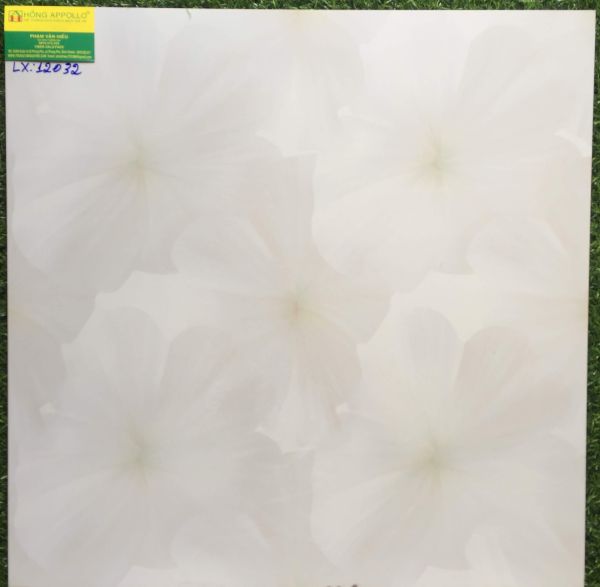 Gạch lát nền 60x60 bóng kiếng 12032LX 2561